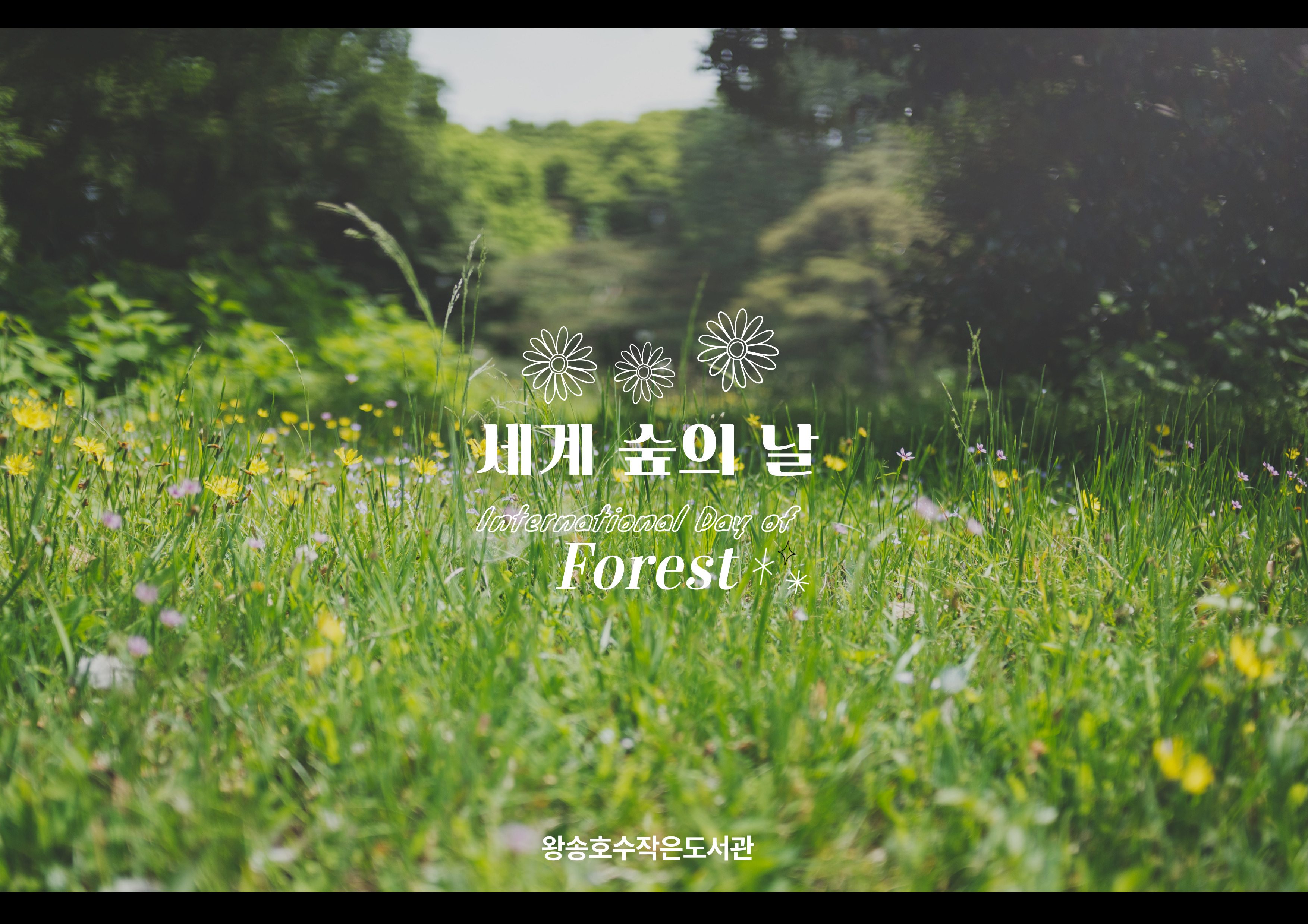 [3월] 북큐레이션 ★세계 숲의 날★