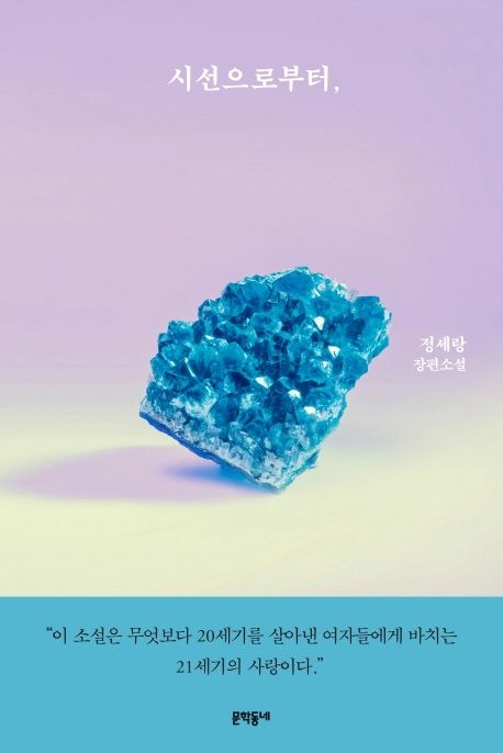 시선으로부터,  : 정세랑 장편소설