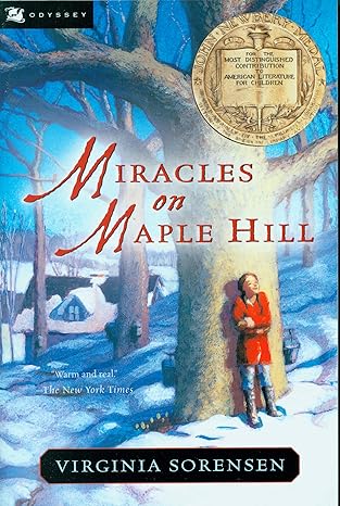 Miracles on maple hill  : (해외수상작)